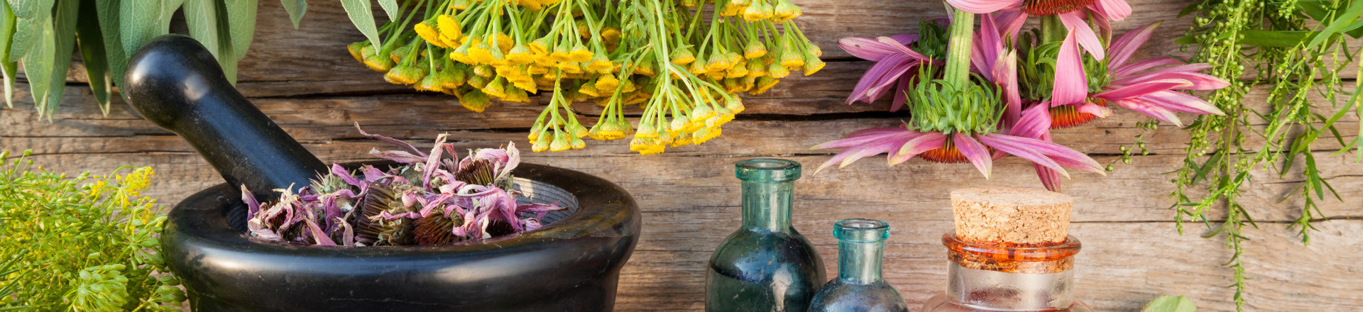 Natural medicine healing and wellness summit