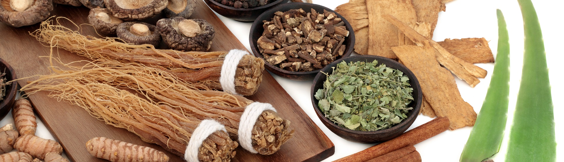 adaptogens